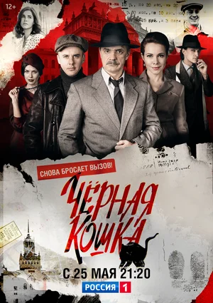 Черная кошка постер