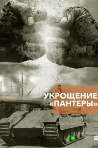 Укрощение «Пантеры» постер