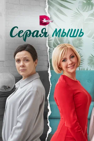 Серая мышь постер