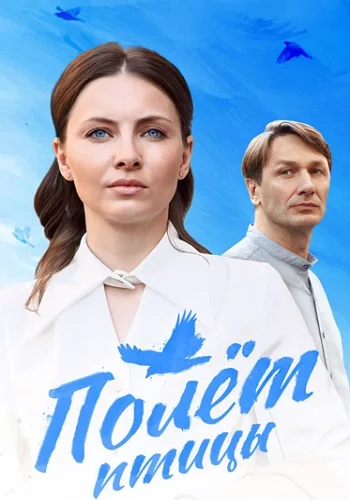 Полёт птицы постер