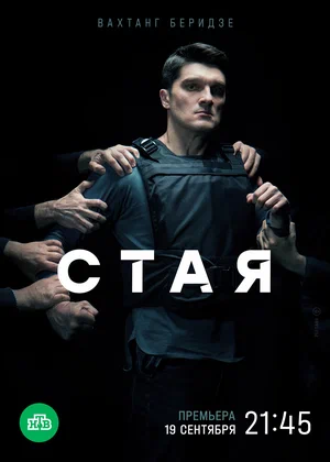 Стая постер