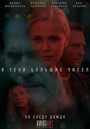 В тени больших чисел. По следу дождя постер